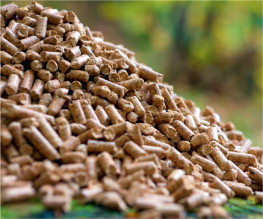 Viên nén biomass
